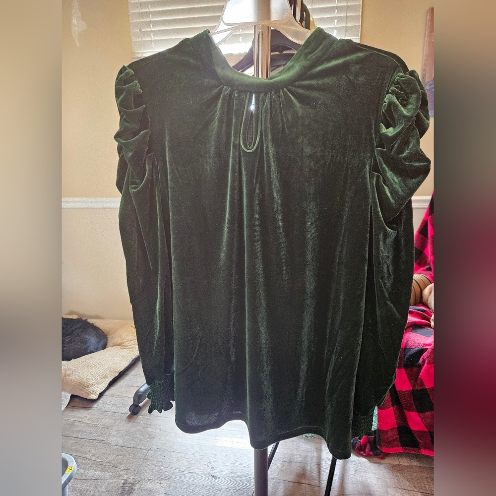 Crushed Velvet Style Blouse